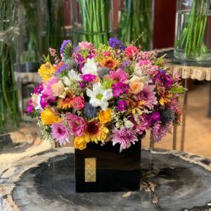 Eid gift 5